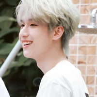 Nghiêm Hạo Tường