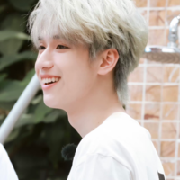 Nghiêm Hạo Tường