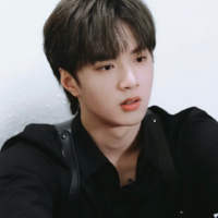 Lưu Diệu Văn