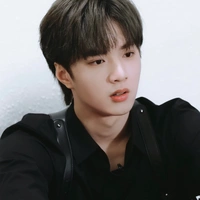 Lưu Diệu Văn