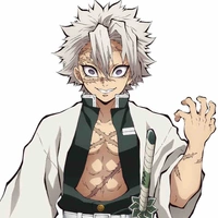 Shinazugawa Sanemi