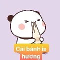 coan tác giả