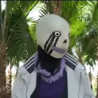 error sans 505
