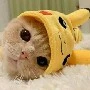Meo