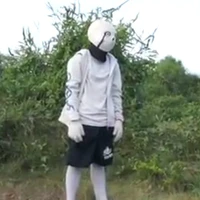 alpha