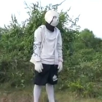 alpha