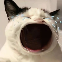 tác giả