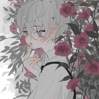 Tác Giả ( Song Băng )