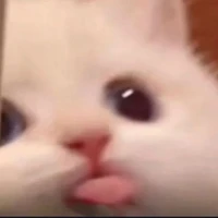 Hú néng đã quay trở lại r đây