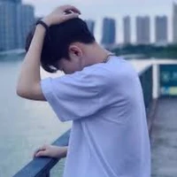 Nguyễn Nhật Sư Tử/ leo
