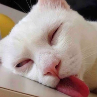 T/g chuyên BÍ ý tưởng 