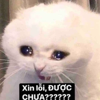 Lớp trưởng:)