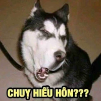 All (trừ ai thì trừ)