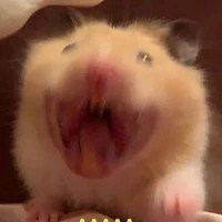 _Raito_t/g+