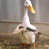 All