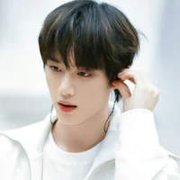 Đinh Trình Hâm