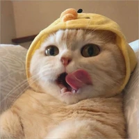 Tác giả cute ngầu lòi🌹🌸🌷🌻