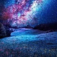 editor /top 1 server báo đời :)/