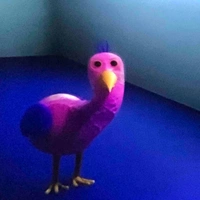 Opila Bird