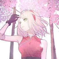 Haruno Sakura