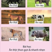 rèm cửa