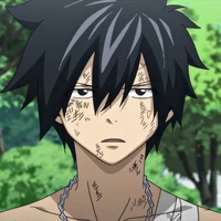 Gray Fullbuster