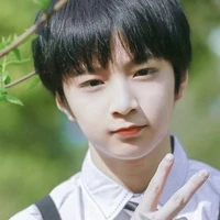 Lưu Diệu Văn (anh/lúc nhỏ)