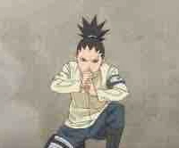Shikadai 