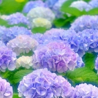 All