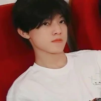 Trương Trạch Vũ