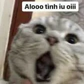 hệ thống 1002