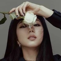 Kim Trí Tú