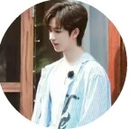 Hạ Tuấn Lâm