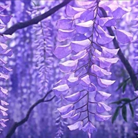 All