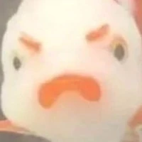 t/g