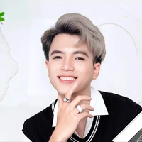 Mister Vịt (Nhân Vật Chính 2)