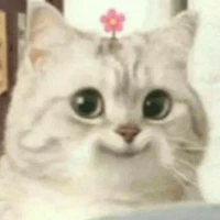 Bà tác giả bất ổn😞