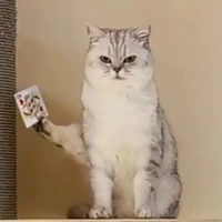 Tác giả (⁠ ⁠ꈍ⁠ᴗ⁠ꈍ⁠)