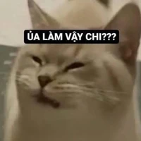 Izuku và Mitsuko