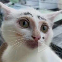 tg đẹp troai tên necu_chan:))