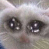 thiểu lăng thời hạn vĩnh viễn