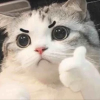 con tác giả cuti:3