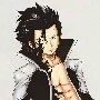 Gray Fullbuster