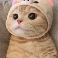 Tg Hạ Y