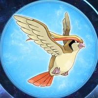 Pigeot