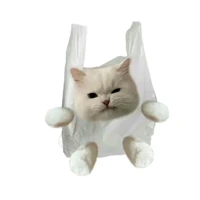 tác giả Cutii💤