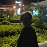 trương y/n (16t)