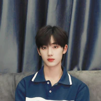 đinh trình hâm (17t)