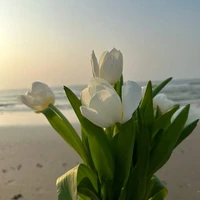 Tác Giả Deptraii nè