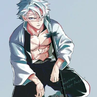 Shinazugawa Sanemi
